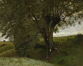 Landscape with an Ash Tree, 1850–57, Fitzwilliam Museum