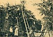 From a 1914 promotional booklet, caption reads "Children enjoy picking cherries in Door County orchards"