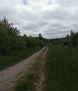 Off-road section through Battram Wood near Ibstock