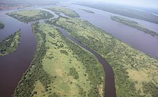 Stora skogsområden (Ituriskogen till vänster) vid eller i närheten av Kongofloden (till höger) ingår i mångas grundläggande uppfattning av Centralafrika.