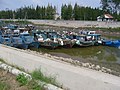 Bateaux de pêche