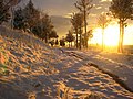 Winterlandschaft bei Hinojosa de Duero