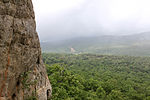 Look at a forest from above, a cliff on the left side of the photo