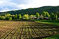 Image 15A plowed field in Bethel, Vermont (from New England)