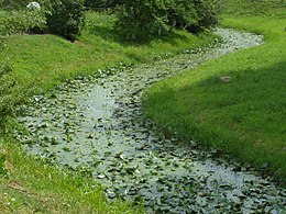 Vilkava Vilkavišķos