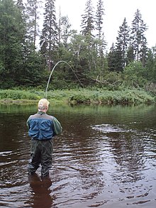 Atlantic Salmon Fishing Cains River New Brunswick (8376386310).jpg