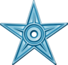 The Coast Guard Auxiliary Star