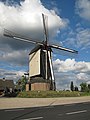 Herveld, el molino: molen de Vink