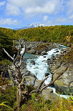 Mahuia River i Tongariro nationalpark