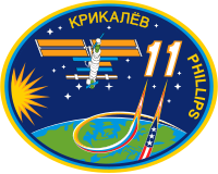 Expedition 11 insignia.svg