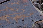 Petroglyphs depicting animals