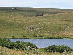 Paysage typique de l'Aubrac aux environs du lac de Souveyrols.