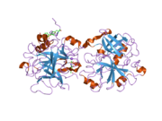 2hwl: Crystal structure of thrombin in complex with fibrinogen gamma' peptide