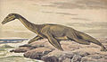 Plesiosaurus