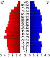 Bevolkingspiramide Polk County