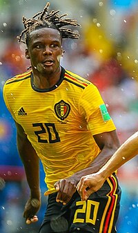 Dedryck Boyata (2018)