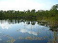 Big Pine Key, Florida Keys