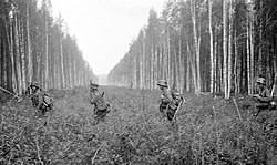 Finske tropper krydser den gamle grænse fra før 1940