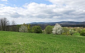 Panorama des Rheingaugebirges mit der Hallgarter Zange und Kalte Herberge