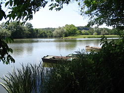 three wooden boats docked on the banks of a river, framed by foliage