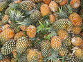 拉古纳市场上的菠萝