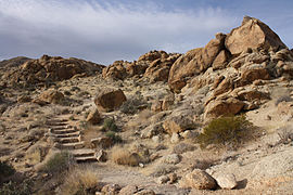 Début du Fortynine Palms Oasis Trail