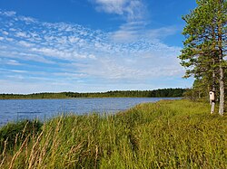 Järveä pohjoisrannalta lännen suuntaan.