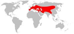 Mapa de distribución mundial de M. foina