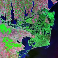 Delta del fiume Danubio, dettaglio Landsat.