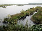 Fockbeker Moor im September