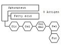 Schematische Darstellung des Gangliosids der Blutgruppe 0.