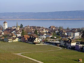 Blick auf die Stadt und den Bielersee