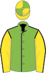 Light green, black seams, yellow sleeves, black seams, yellow and green quartered cap