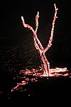 Wildfire in the Emas National Park, Brazil Photograph: Mario Barroso