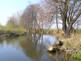 Trawniki lubelskie rzeka Wieprz.jpg