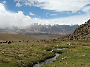 Yangpachen Valley