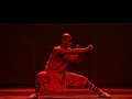 Shaolin monk