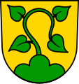 Lindenzweig aus Dreiberg wachsend (Unterwaldhausen/DE)