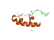 1uz9: CRYSTALLOGRAPHIC AND SOLUTION STUDIES OF N-LITHOCHOLYL INSULIN: A NEW GENERATION OF PROLONGED-ACTING INSULINS.