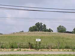 The Tremper Mound and Works