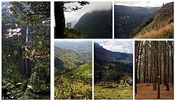 Rural view of Choachí