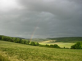 Landschap bij Macey