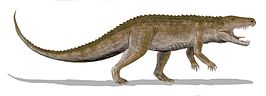 Orthosuchus