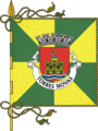 Bandeira de Torres Novas