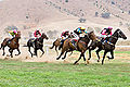 Image 17 Horse racing Credit: Fir0002 Horses race on grass at the 2006 Tambo Valley Races in Swifts Creek, Victoria, Australia. Horseracing is the third most popular spectator sport in Australia, behind Australian rules football and rugby league, with almost 2 million admissions to the 379 racecourses throughout Australia in 2002–03. More selected pictures