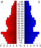 Bevolkingspiramide Butte County