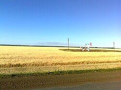 Field near the village Semiletka, Dyurtyulinsky District