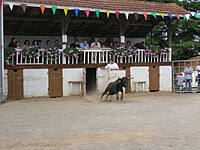 Les tribunes - 2006.