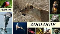 Zoologie