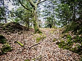 Threshold for access to the summit of the former Stoerenburg Castle